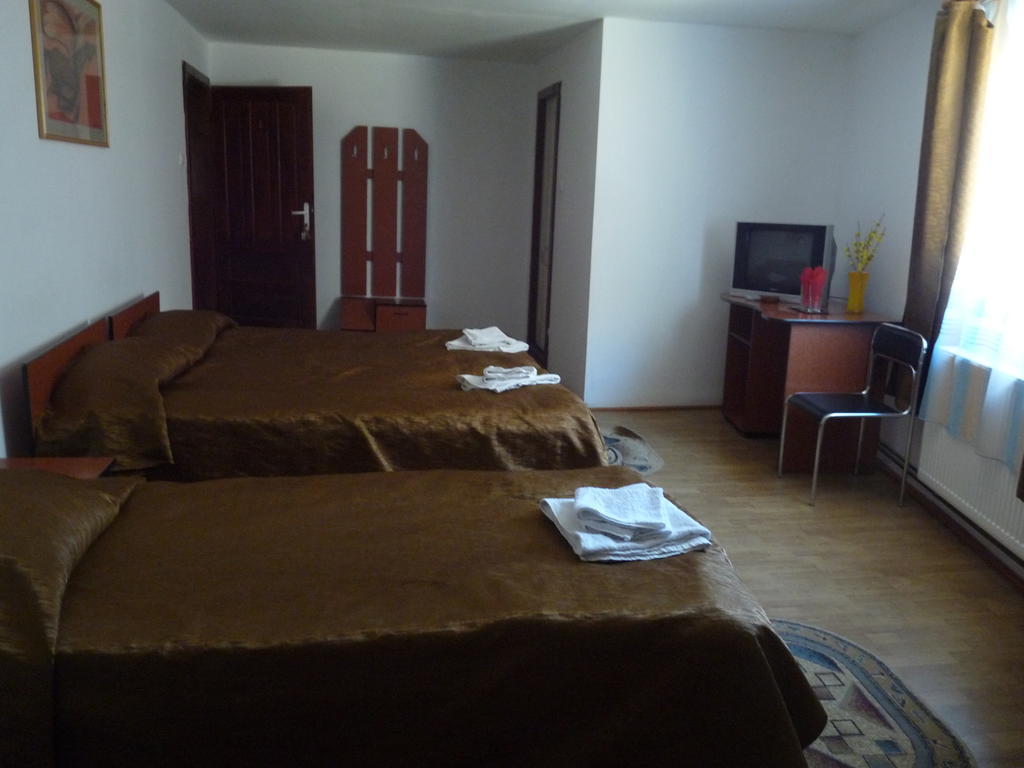 Vila Transilvania Balvanyos Rum bild
