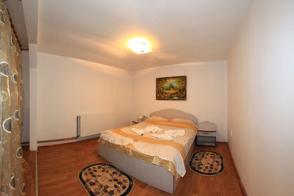 Vila Transilvania Balvanyos Rum bild